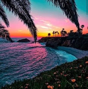 Meet your Posher, Virginia